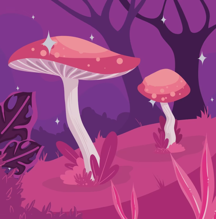 Your Ultimate Guide to Buy Magic Mushrooms in Ajax