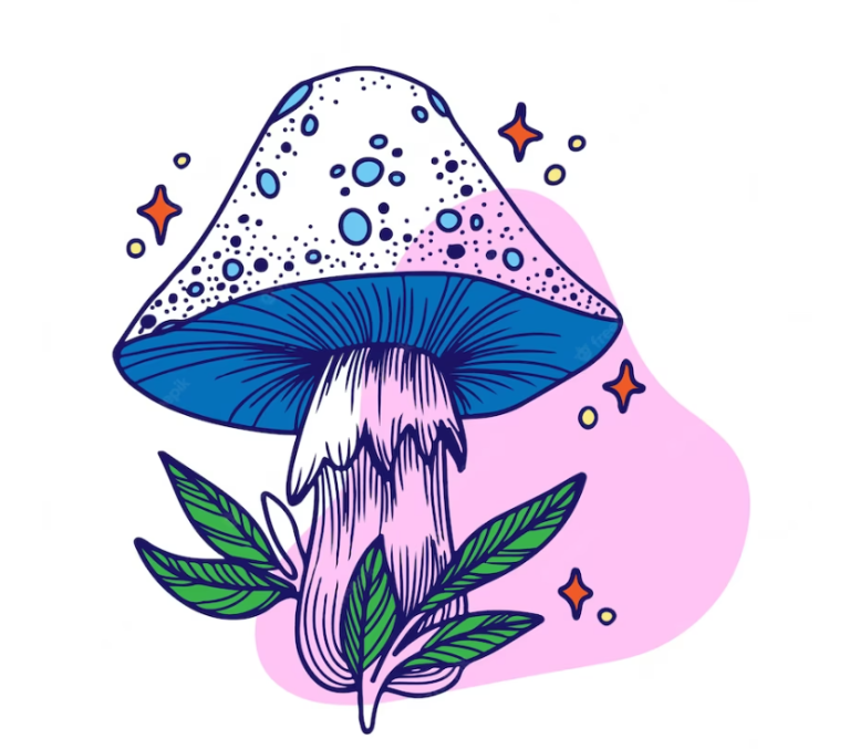 Your Ultimate Guide to Buy Magic Mushrooms in Orillia