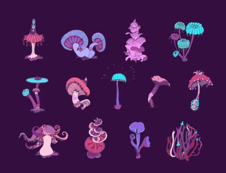 Your Ultimate Guide to Buy Magic Mushrooms in Brossard