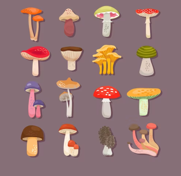 Your Ultimate Guide to Buy Magic Mushrooms in Airdrie