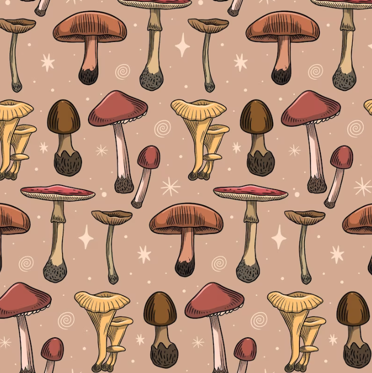 Your Ultimate Guide to Buy Magic Mushrooms in Paradise