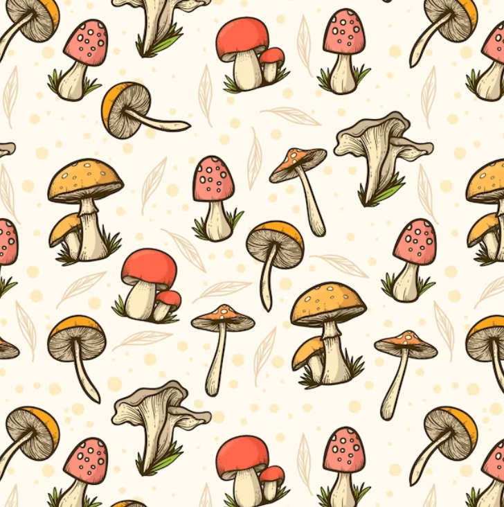 Your Ultimate Guide to Buy Magic Mushrooms in Belleville