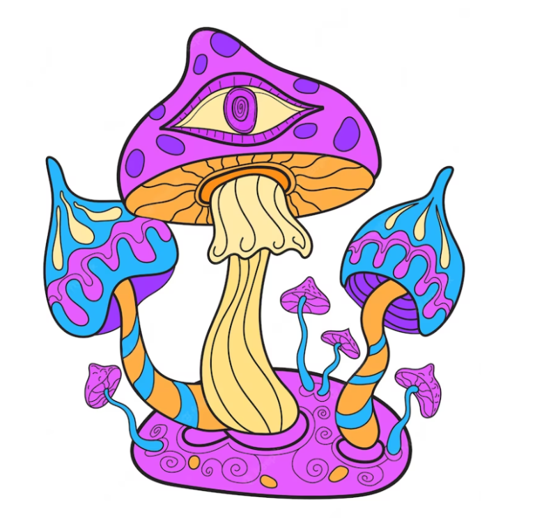 Your Ultimate Guide to Buy Magic Mushrooms in Courtenay